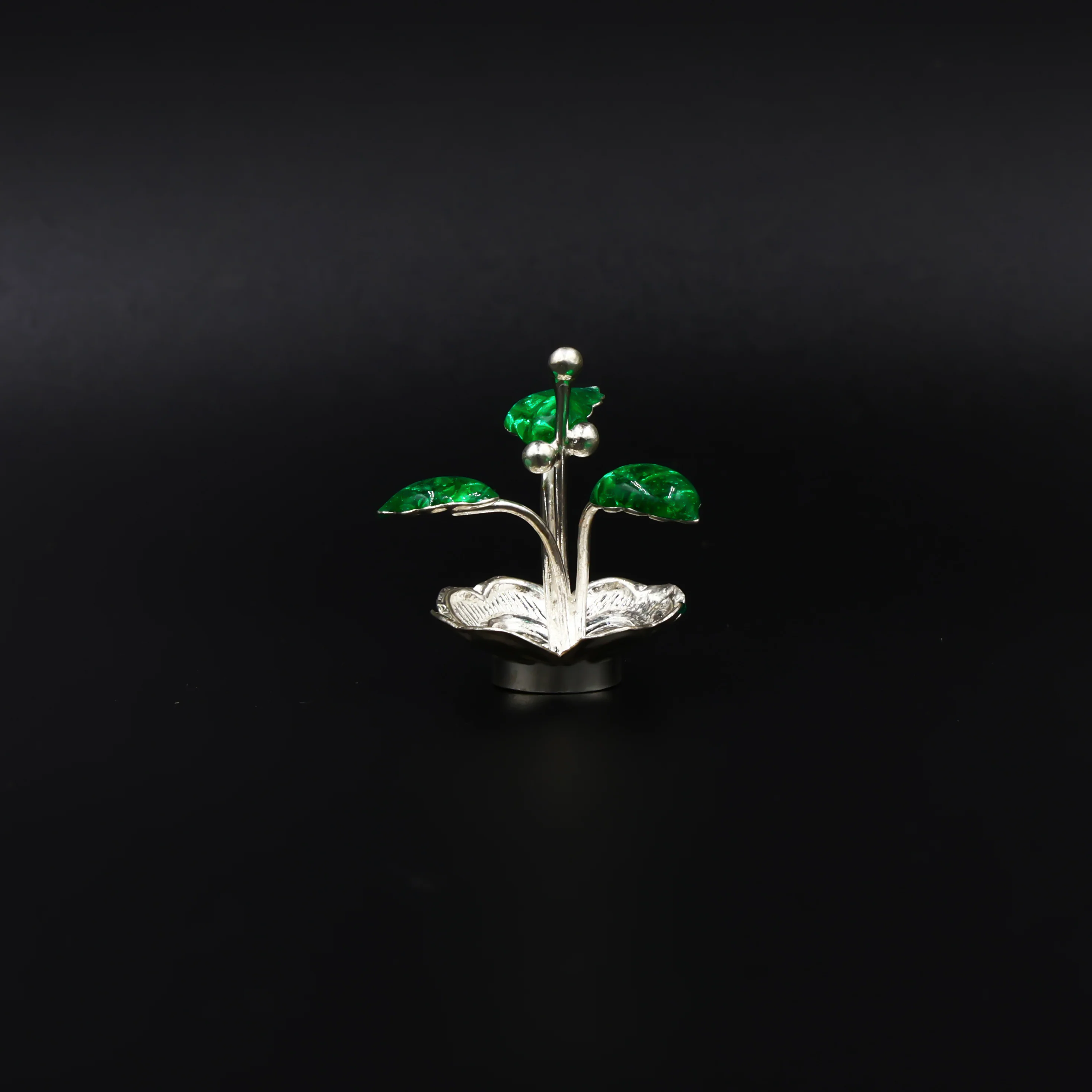 Bring Divine Peace to Your Home with Our Silver Tulsi Plant - Image 4