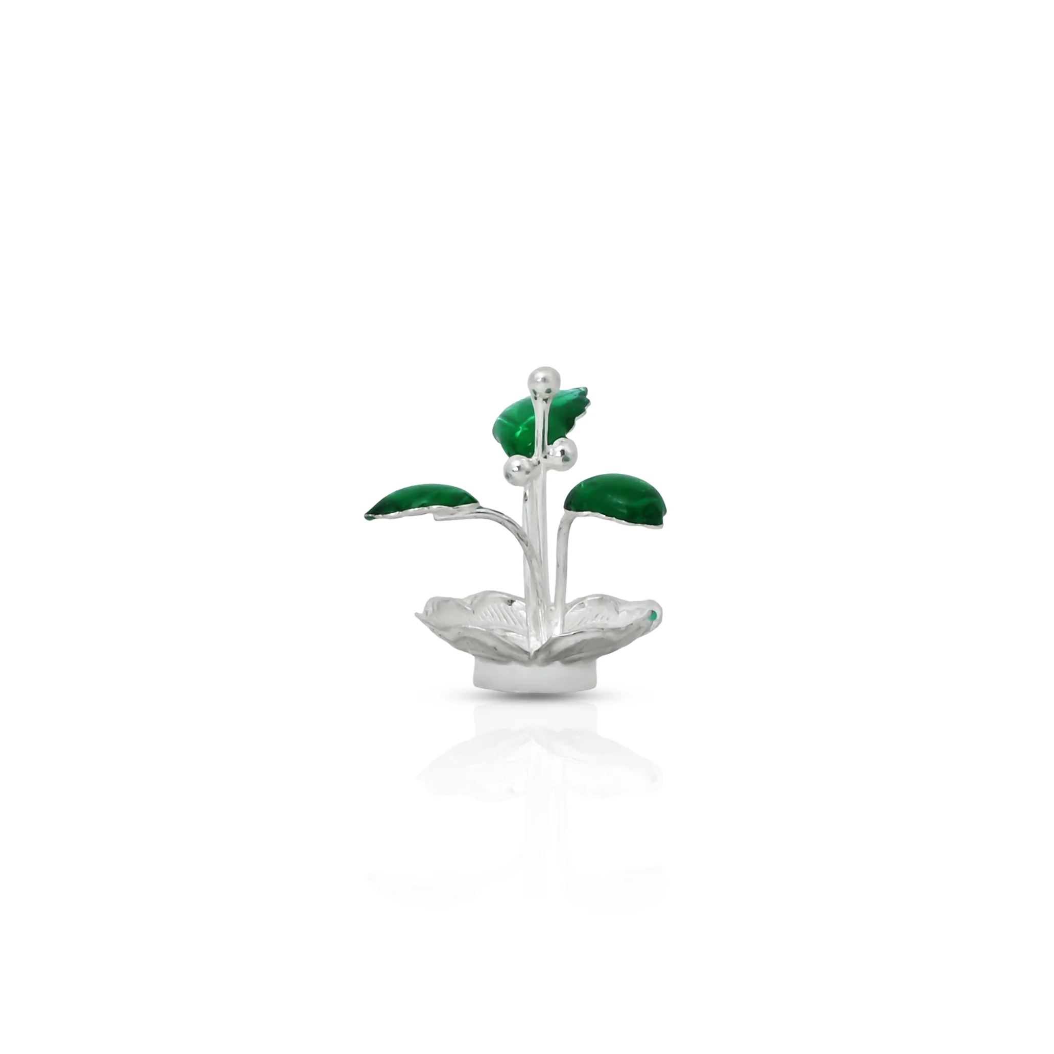 Bring Divine Peace to Your Home with Our Silver Tulsi Plant - Image 6